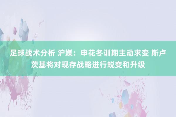 足球战术分析 沪媒：申花冬训期主动求变 斯卢茨基将对现存战略进行蜕变和升级