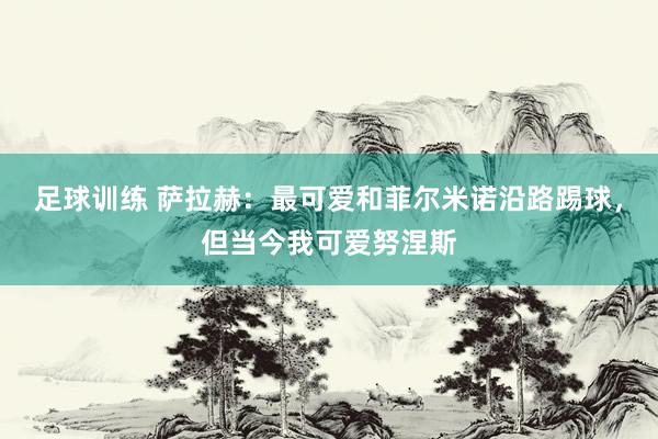 足球训练 萨拉赫：最可爱和菲尔米诺沿路踢球，但当今我可爱努涅斯