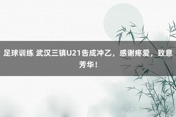 足球训练 武汉三镇U21告成冲乙，感谢疼爱，致意芳华！