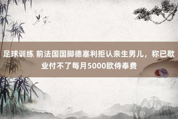 足球训练 前法国国脚德塞利拒认亲生男儿，称已歇业付不了每月5000欧侍奉费