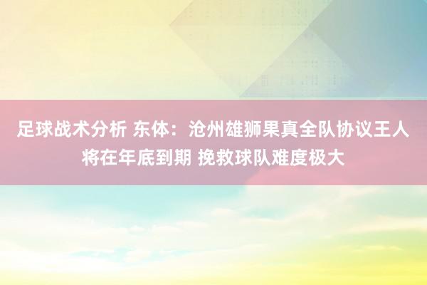 足球战术分析 东体：沧州雄狮果真全队协议王人将在年底到期 挽救球队难度极大