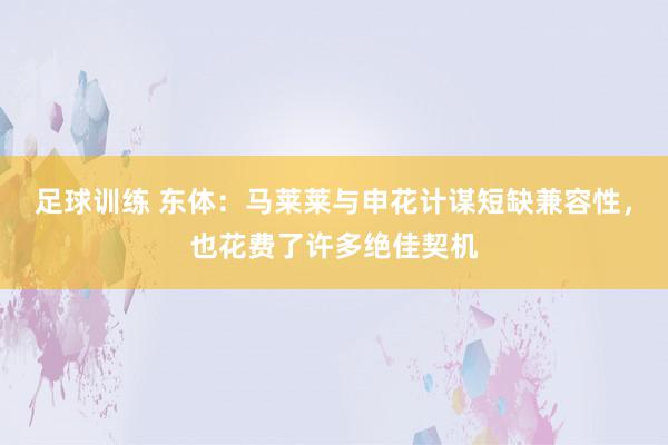 足球训练 东体：马莱莱与申花计谋短缺兼容性，也花费了许多绝佳契机