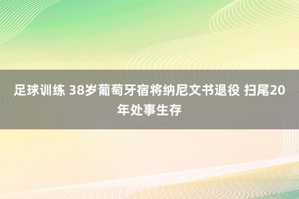 足球训练 38岁葡萄牙宿将纳尼文书退役 扫尾20年处事生存